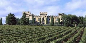 vignoble chateau Chateauneuf du Pape