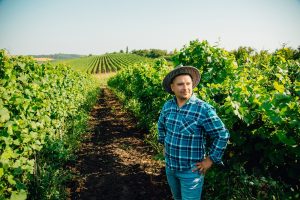 Site" web entreprise viticole